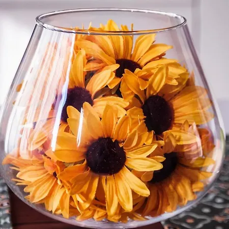 Apartmán Minerva Ližnjan