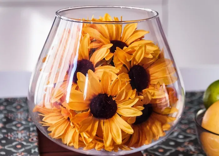 아파트 Minerva Ližnjan